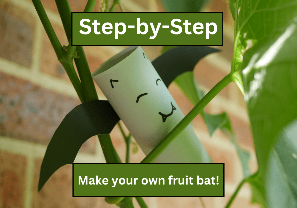 Make a toilet paper roll&nbsp;bat