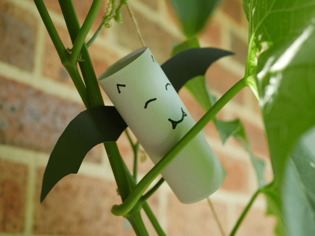 A bat made from a toilet paper roll, tape and a pen, sitting in a vine.