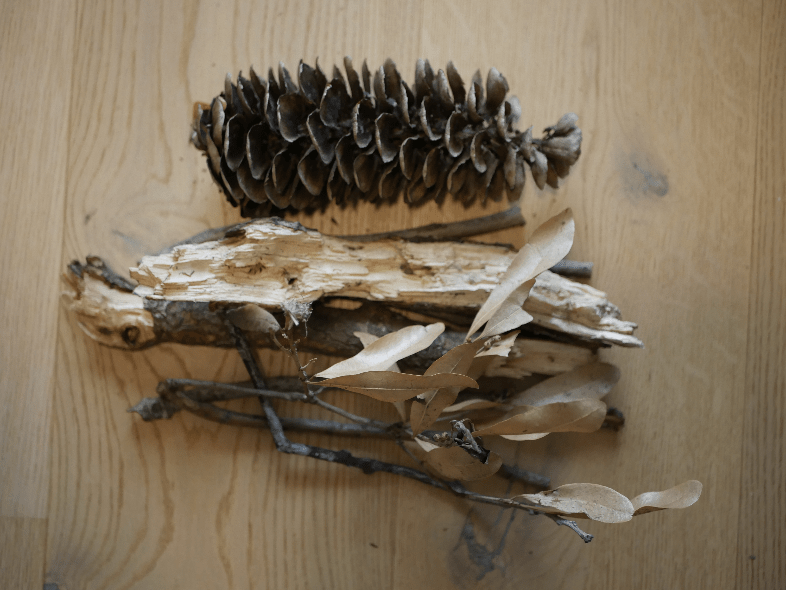 A collection of sticks, twigs, bark, leaves and a pine cone to make a bug hotel.