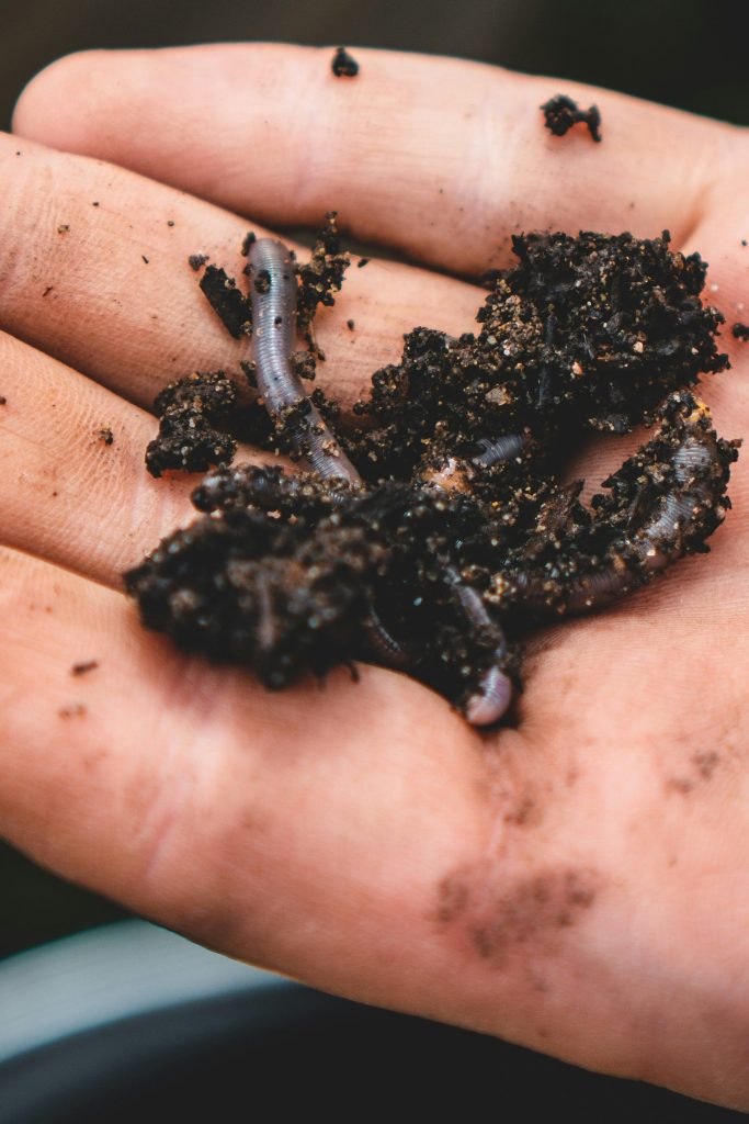 Aussie Tiny Tales podcast blog compost worm farm